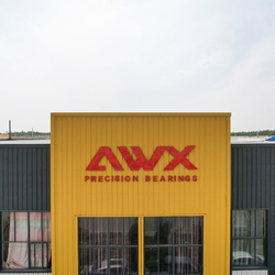 Shandong Awx Bearing  Co., Ltd. productielijn van de fabrikant